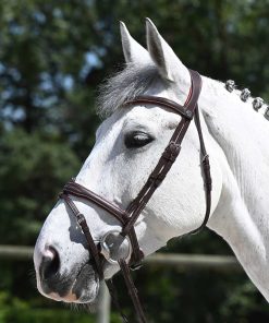 Antarès Signature träns