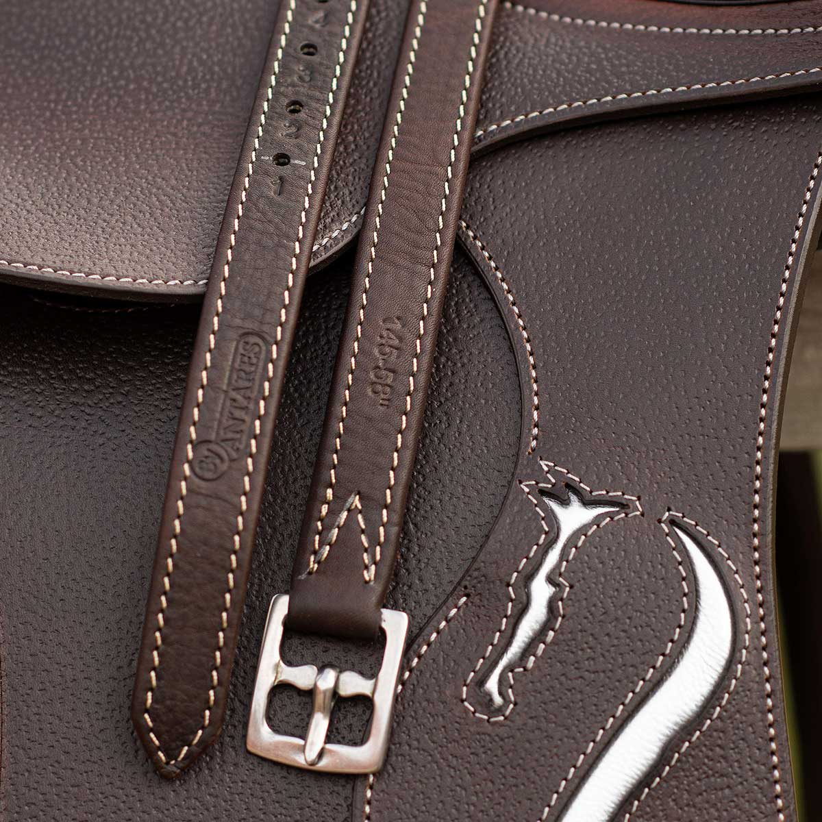Antarès Signature stigläder